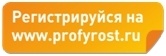 knopka_01